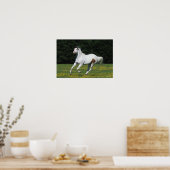 Paint Horse Running in Grassy Field Poster (Küche)