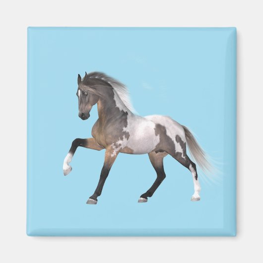 Paint Horse Running Magnet (Vorne)