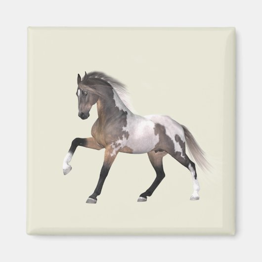Paint Horse Running Magnet (Vorne)