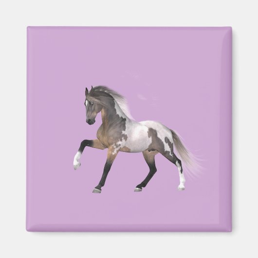 Paint Horse Running Magnet (Vorne)