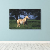 Paint Horse Stehend 2 Leinwanddruck (Insitu (Holzboden))