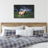 Paint Horse Stehend 2 Leinwanddruck (Insitu (Schlafzimmer))