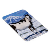Paint Horse Stehend im Schnee Magnet (Rechte Seite)