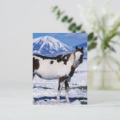 Paint Horse Stehend im Schnee Postkarte (Stehend Vorderseite)