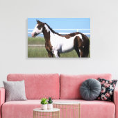 Paint Horse Stehend Leinwanddruck (Insitu (Wohnzimmer))
