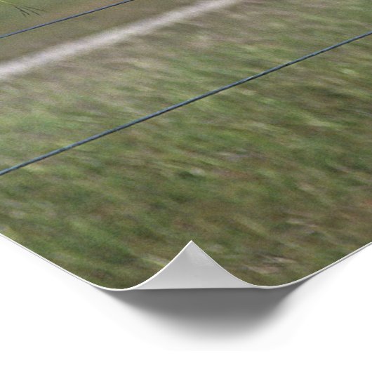 Paint Horse Stehend Poster (Ecke)