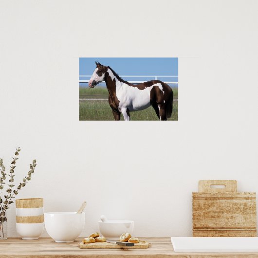 Paint Horse Stehend Poster (Küche)