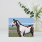 Paint Horse Stehend Postkarte (Stehend Vorderseite)