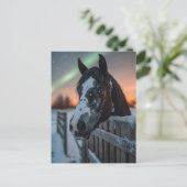 Paint Horse Winter Northern Lights Postkarte (Stehend Vorderseite)
