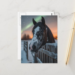 Paint Horse Winter Northern Lights Postkarte