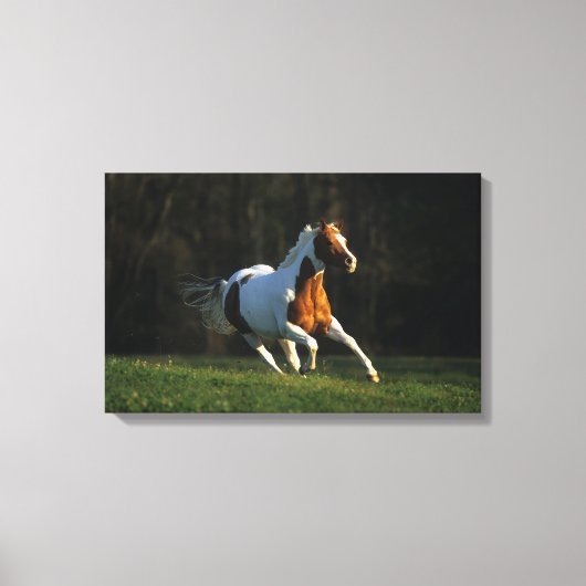 Paint Horse wird schnell ausgeführt Leinwanddruck (Vorderseite)