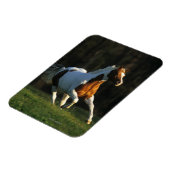 Paint Horse wird schnell ausgeführt Magnet (Linke Seite)