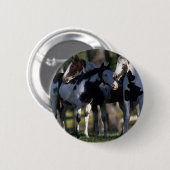 Paint Horses Button (Vorne & Hinten)