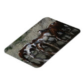 Paint Horses Drinks Magnet (Linke Seite)