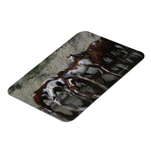 Paint Horses Drinks Magnet (Linke Seite)