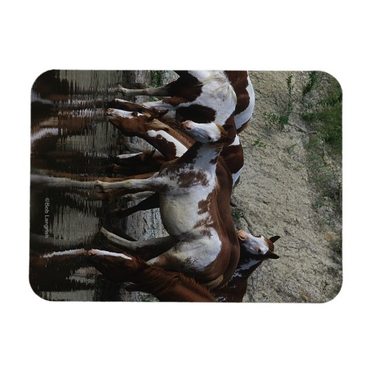 Paint Horses Drinks Magnet (Horizontal)
