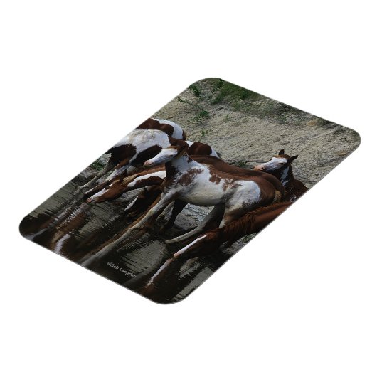 Paint Horses Drinks Magnet (Linke Seite)