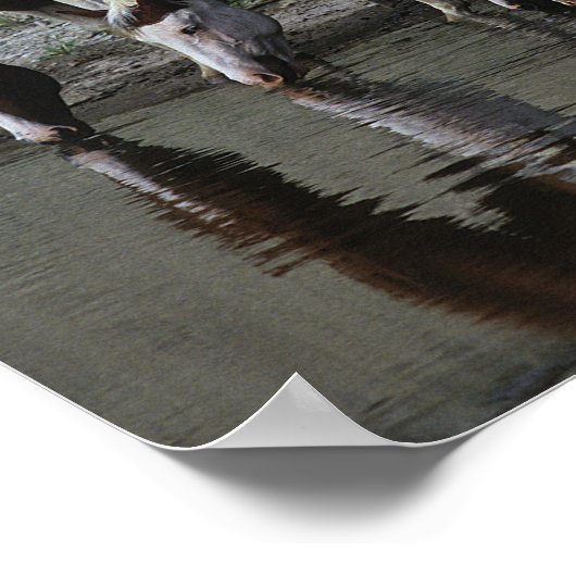 Paint Horses Drinks Poster (Ecke)