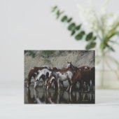 Paint Horses Drinks Postkarte (Stehend Vorderseite)