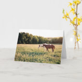 Paint Horses in Pasta Karte (Gelbe Blume)