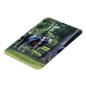 Paint Horses in the Trees Magnet (Linke Seite)
