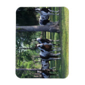 Paint Horses in the Trees Magnet (Vertikal)