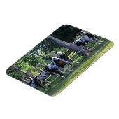 Paint Horses in the Trees Magnet (Linke Seite)