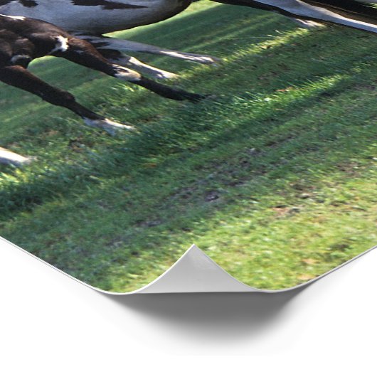 Paint Horses in the Trees Poster (Ecke)