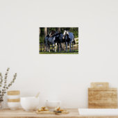 Paint Horses Poster (Küche)