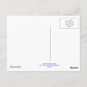 Paint Horses Postkarte (Rückseite)