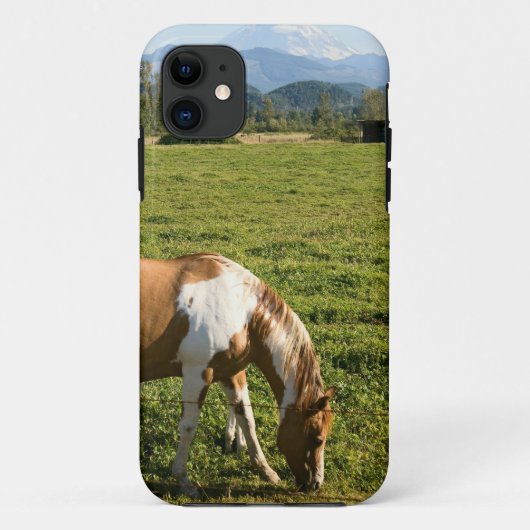 Paint Hourse in den Bergen Case-Mate iPhone Hülle (Rückseite)