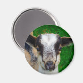 Paint Magnet (Vorderseite/Rückseite)