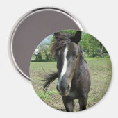 Paint Magnet (Vorderseite/Rückseite)