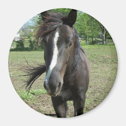 Paint Magnet (Vorne)