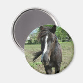 Paint Magnet (Vorderseite/Rückseite)