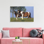 Paint Mare & Foal Leinwanddruck (Insitu (Wohnzimmer))