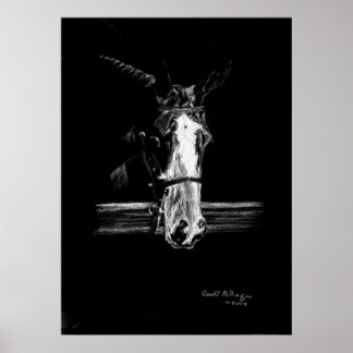 Paint on Black Horse Portrait Poster