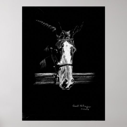 Paint on Black Horse Portrait Poster (Vorne)