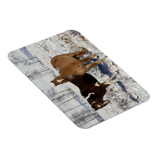 Paint Pferde im Schnee Magnet (Rechte Seite)