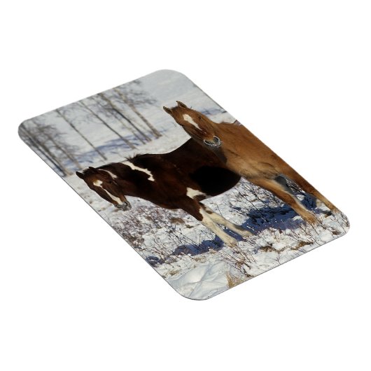 Paint Pferde im Schnee Magnet (Rechte Seite)