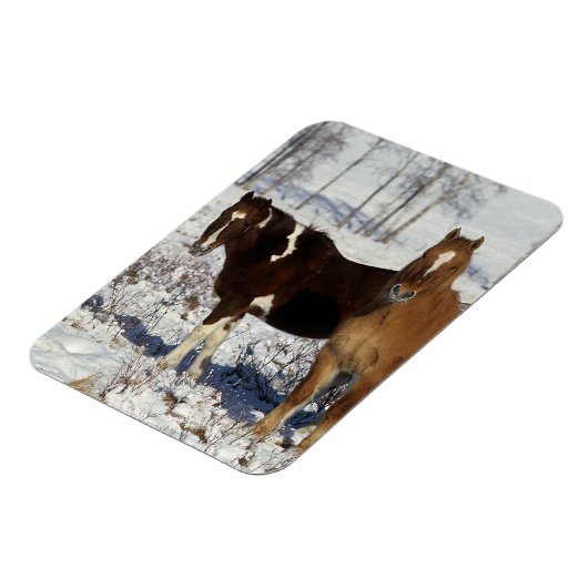 Paint Pferde im Schnee Magnet (Linke Seite)