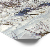 Paint Pferde im Schnee Poster (Ecke)