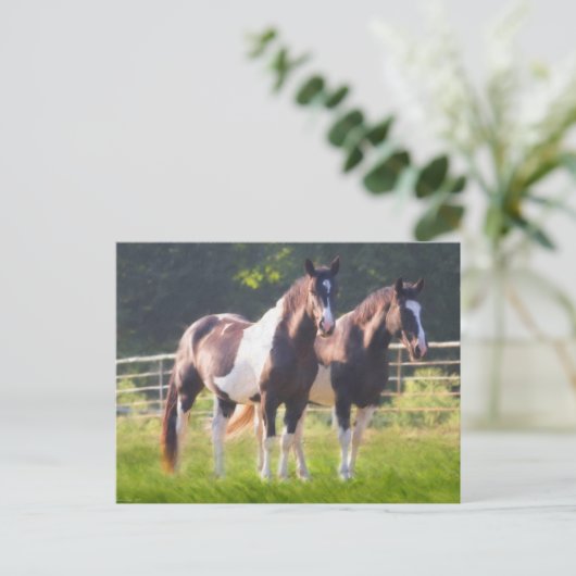 Paint Pferde in der Weide Postkarte (Stehend Vorderseite)