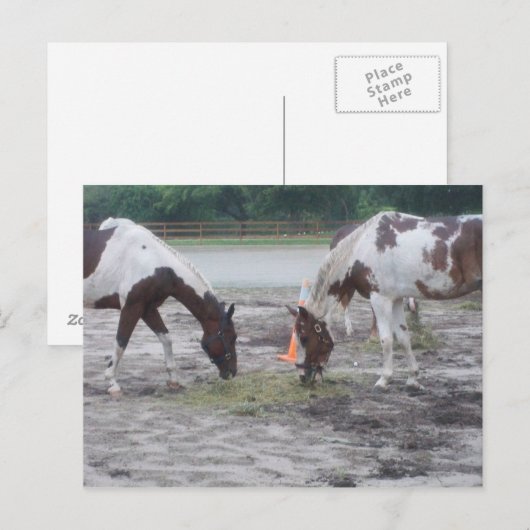 Paint/Pin Postkarte (Vorne/Hinten)