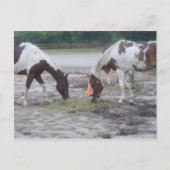 Paint/Pin Postkarte (Vorderseite)