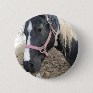 Paint Pinto Pferd Button