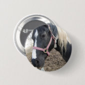 Paint Pinto Pferd Button (Vorne & Hinten)