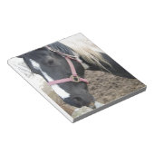 Paint Pinto Pferd Notizblock (angewinkelt)