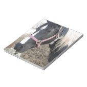 Paint Pinto Pferd Notizblock (Rotiert)
