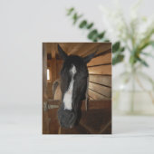 Paint/Pinto Pferd Postkarte (Stehend Vorderseite)
